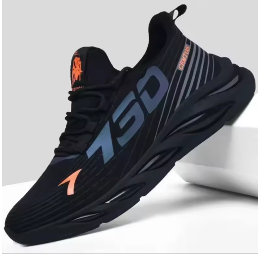 STYLISH SHOSE