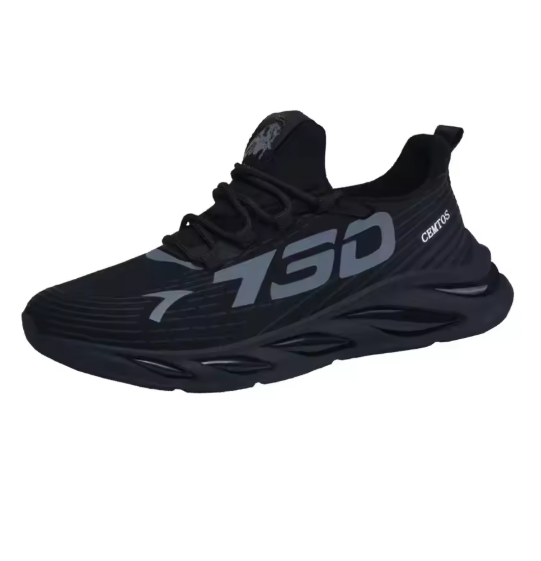 STYLISH SHOSE